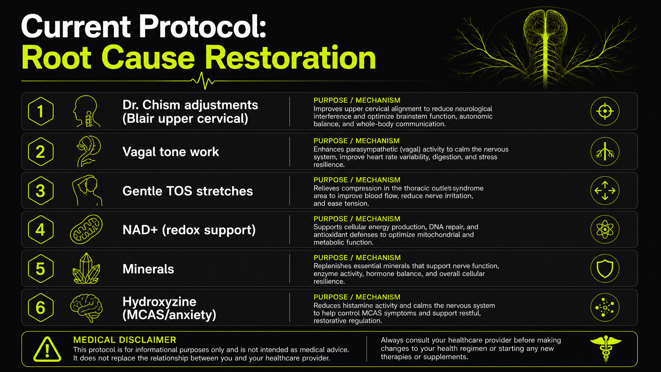 Protocol root cause restoration details infographic